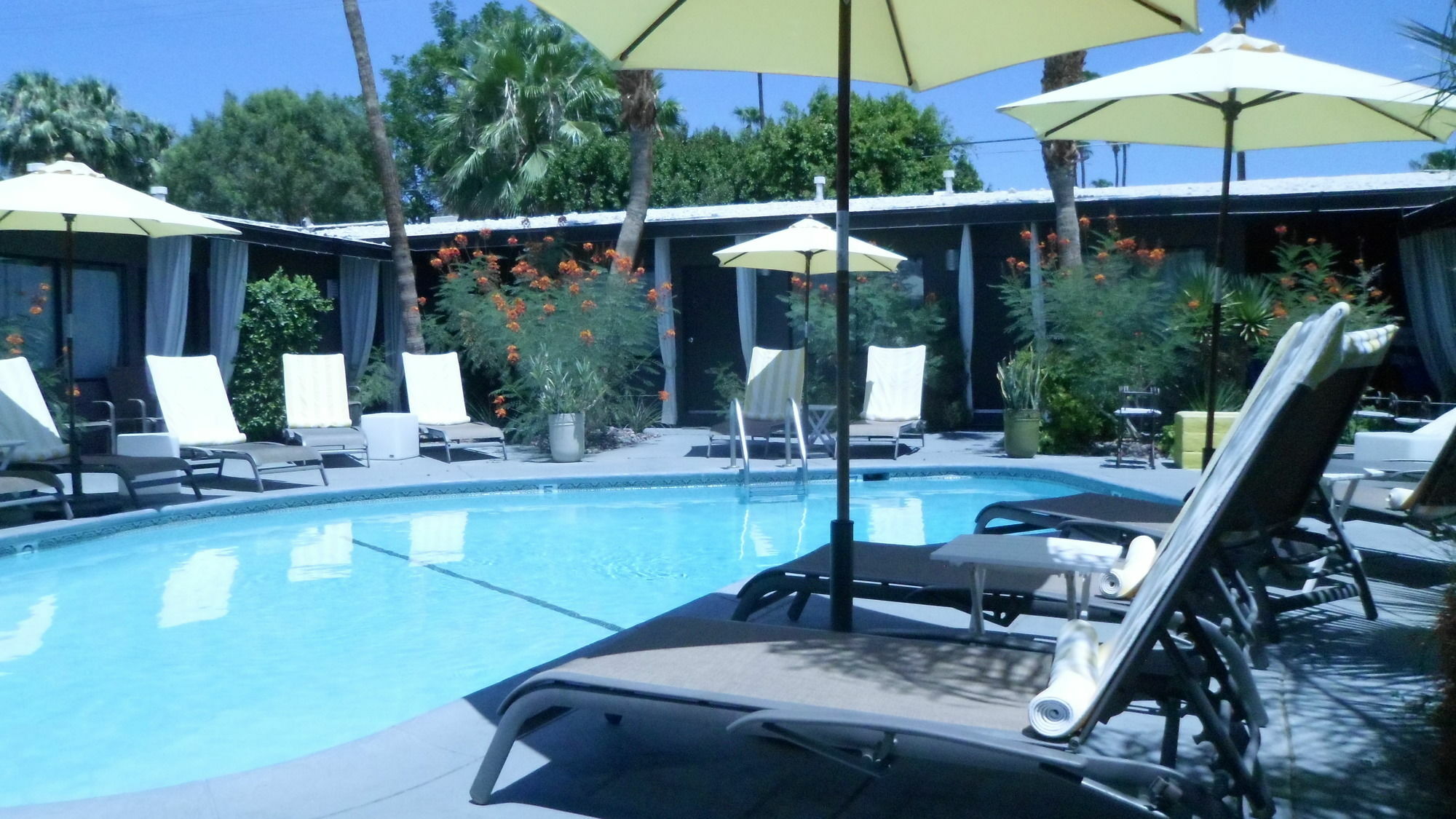 Avanti Hotel Palm Springs Eksteriør bilde