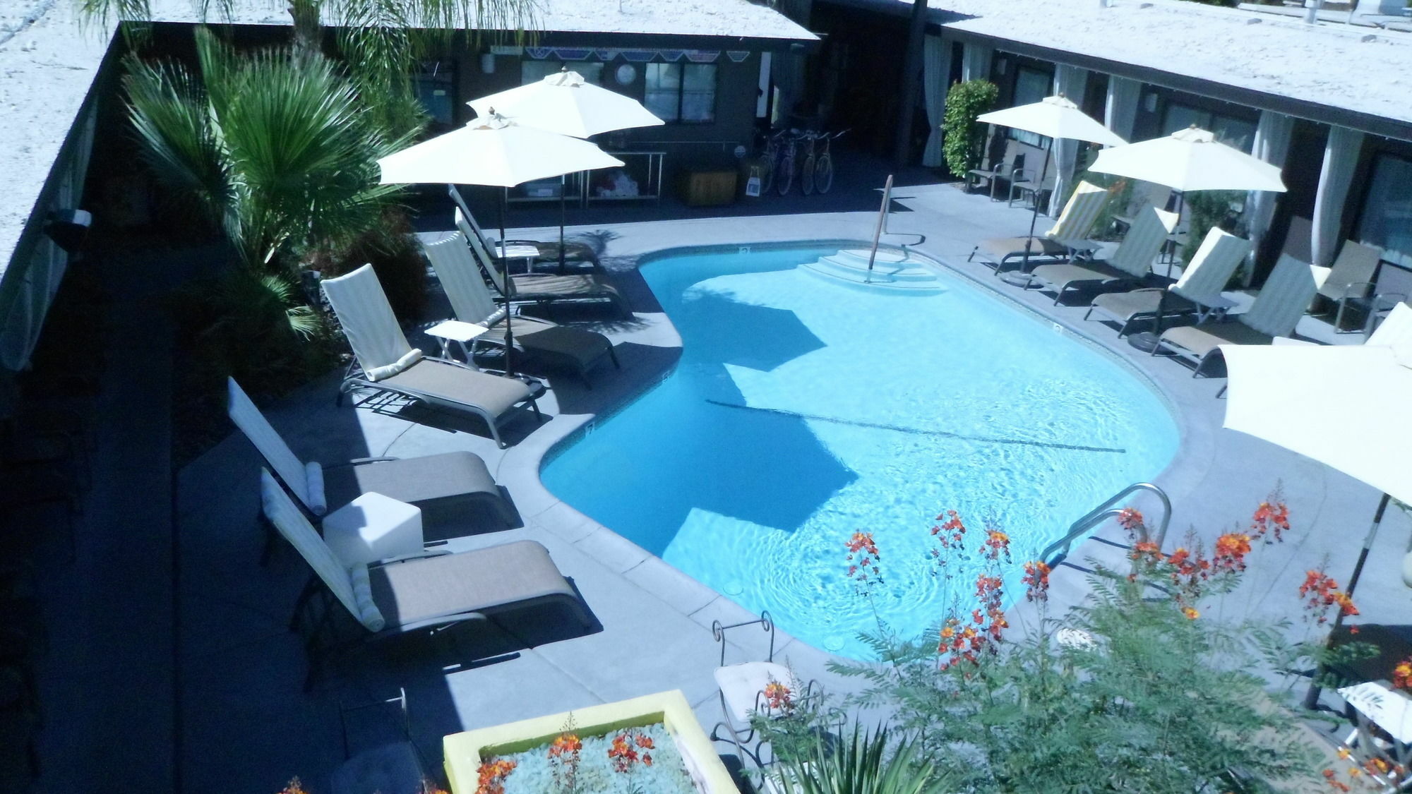 Avanti Hotel Palm Springs Eksteriør bilde